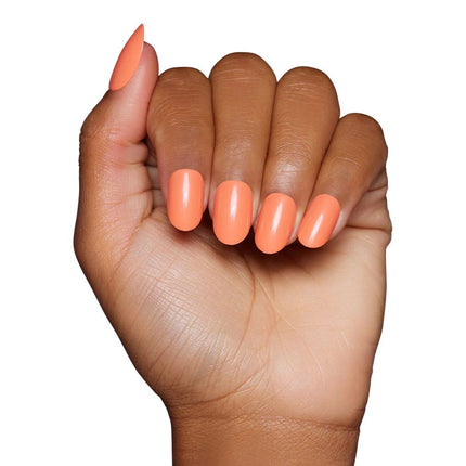 apricot-4