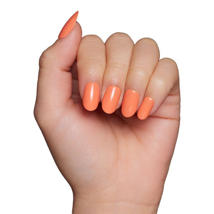 apricot-5