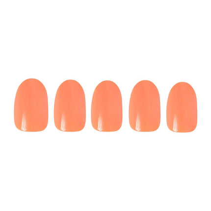 apricot-6
