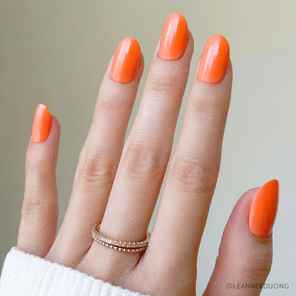apricot-7