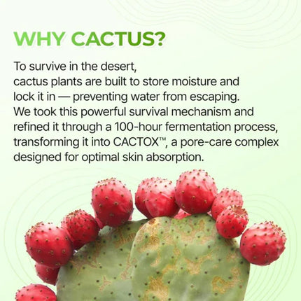 Dr. Melaxin CACTOX 3-Step Nose Mask Pack