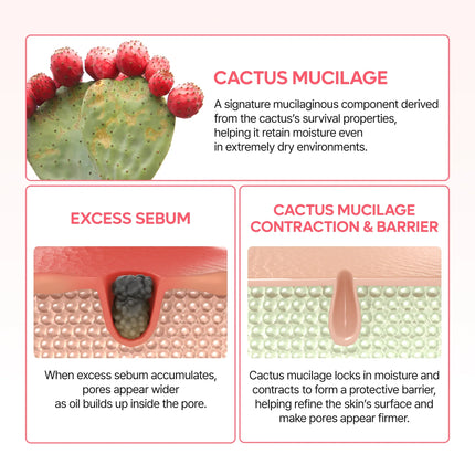 Dr. Melaxin CACTOX Pore Dual Capsule Cream