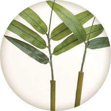 Olivia Garden EcoHair Eco-Friendly Bamboo Combo Vent Brush - 2 5/8 Inch