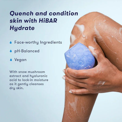 hibar-soap-free-body-wash-bar-6