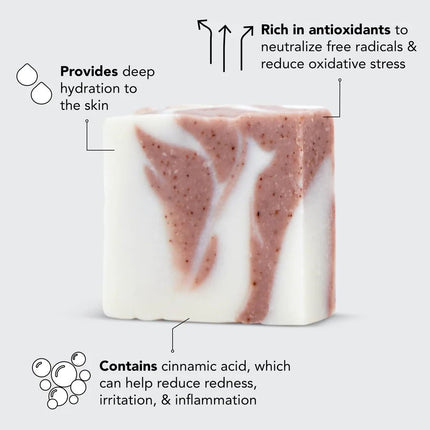 kitsch-shea-butter-exfoliating-body-wash-3