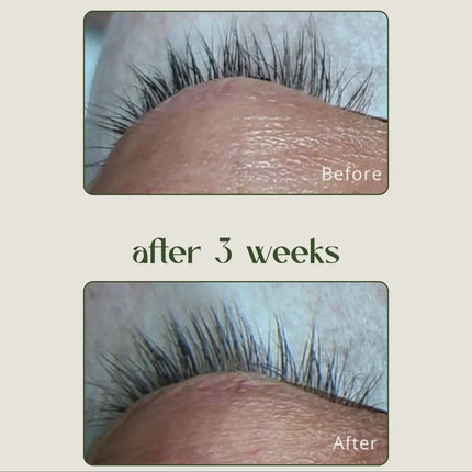 Lashfood Gift of Lashes Set