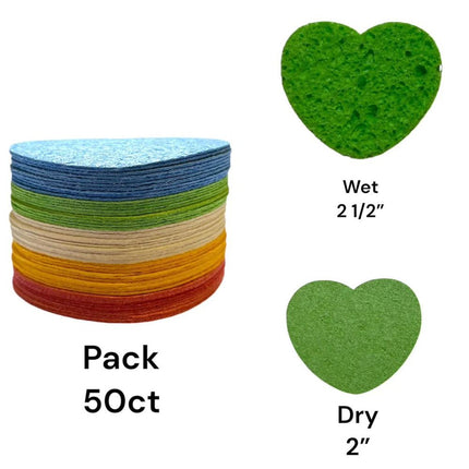 lurella-cosmetics-compressed-facial-beauty-sponges-2