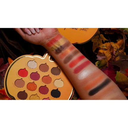 lurella-cosmetics-sugar-pumpkin-spice-15-color-palette-2