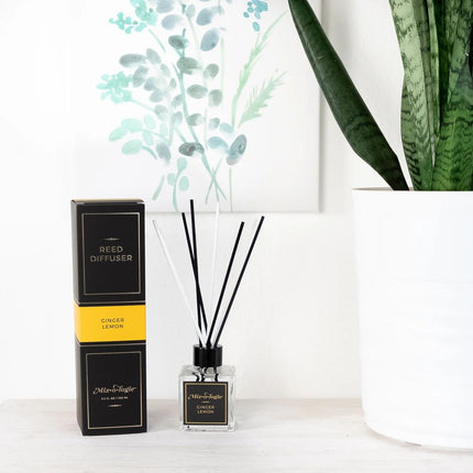 mixologie-ginger-lemon-reed-diffuser-3