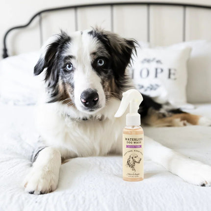 mixologie-lavender-vanilla-waterless-dog-wash-2