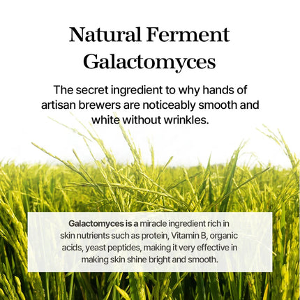 mixsoon Galactomyses Ferment Essence