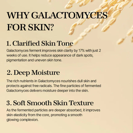 mixsoon Galactomyses Ferment Essence