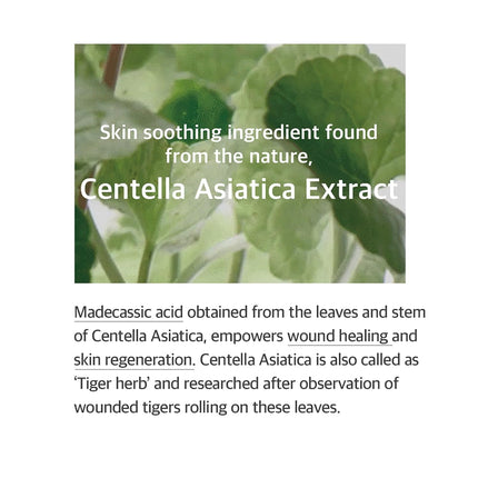 mixsoon Centella Asiatica Soondy Essence