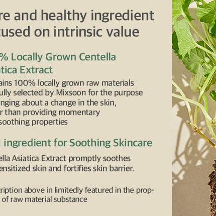 mixsoon Centella Asiatica Soondy Essence