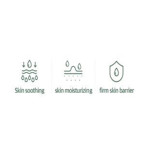 mixsoon Centella Asiatica Soondy Essence