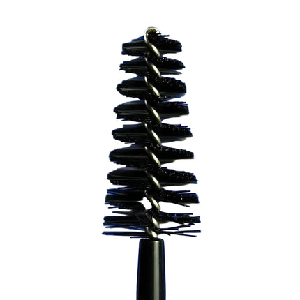 Prosa Professional Blue Mascara