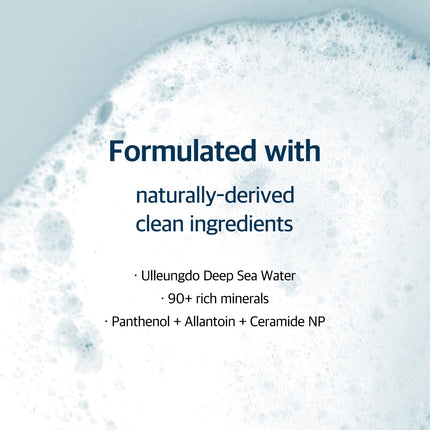 ROUND LAB 1025 Dokdo Cleanser