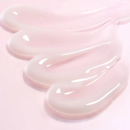 ROUND LAB Camellia Deep Collagen Firming Cream