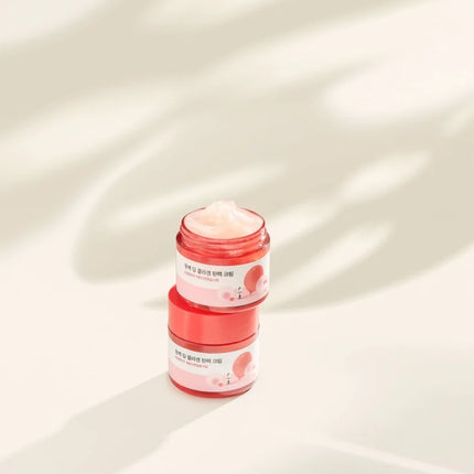 ROUND LAB Camellia Deep Collagen Firming Cream
