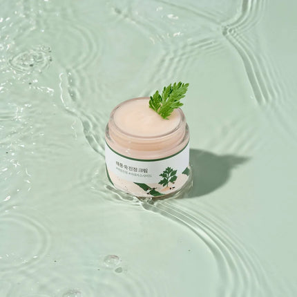 ROUND LAB Mugwort Calming Cream