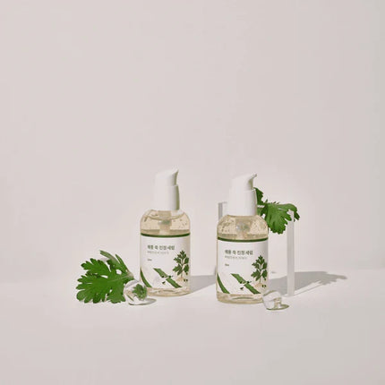 ROUND LAB Mugwort Calming Serum