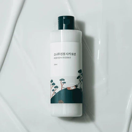 ROUND LAB Pine Calming Cica Lotion