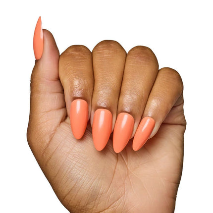 soft-tangerine-4