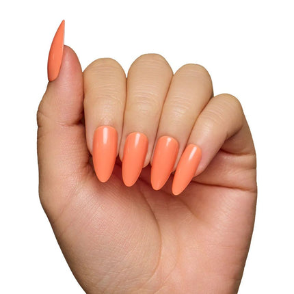 soft-tangerine-5