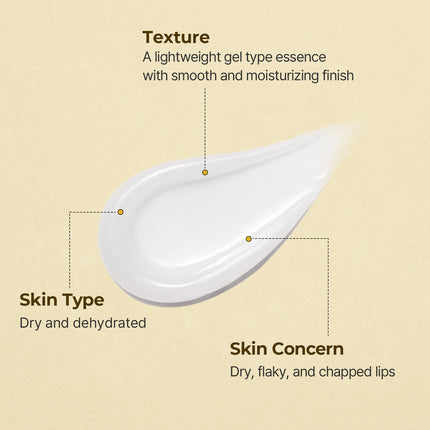 Torriden Solid In Ceramide Lip Essence