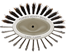 Olivia Garden Ceramic + ion Turbo Vent Oval Twin & 100% Boar - 3 1/2" ×2 1/2"
