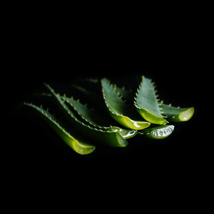 viori-beauty-body-wash-bar-with-hydrating-aloe-vera-4