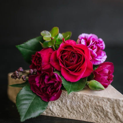 viori-beauty-castor-oil-shampoo-bar-for-brittle-dry-hair-2