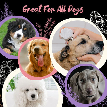 viori-beauty-pet-shampoo-bar-jasmine-lavender-3