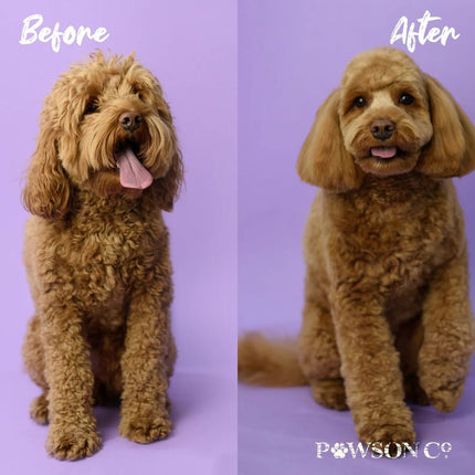 viori-beauty-pet-shampoo-bar-peony-vanilla-orchid-5