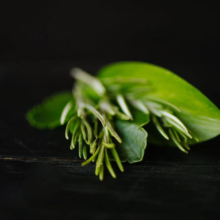 viori-beauty-rosemary-biotin-shampoo-bar-for-weak-thinning-hair-2