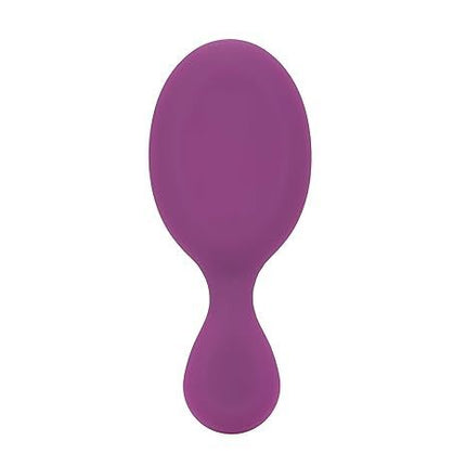 wet-brush-mini-detangler-frost-13